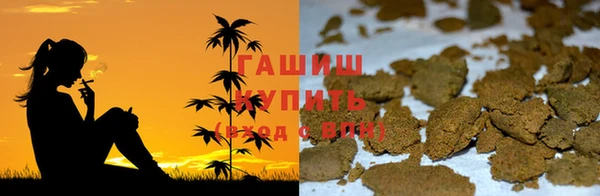 ГАЛЛЮЦИНОГЕННЫЕ ГРИБЫ Белокуриха