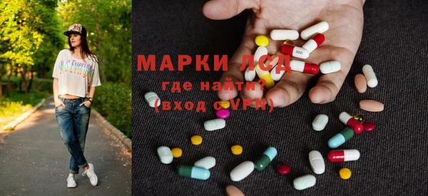ГАЛЛЮЦИНОГЕННЫЕ ГРИБЫ Белокуриха