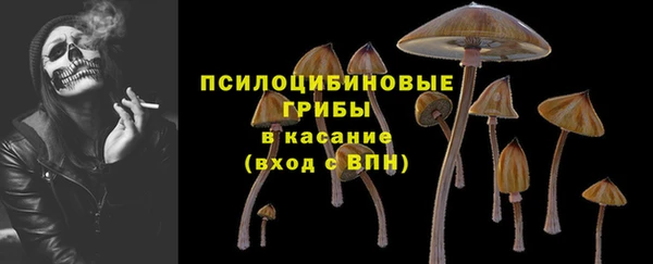 дживик Беломорск