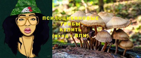 ГАЛЛЮЦИНОГЕННЫЕ ГРИБЫ Белокуриха