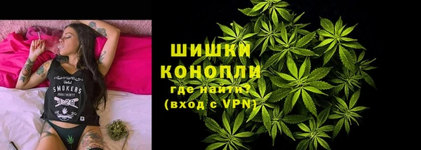 ГАЛЛЮЦИНОГЕННЫЕ ГРИБЫ Белокуриха