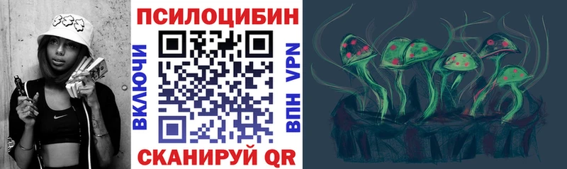 omg   даркнет сайт  Шадринск  Галлюциногенные грибы Psilocybe 