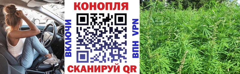 Бошки марихуана сатива Шадринск